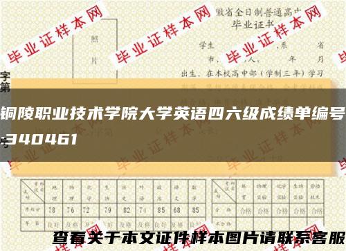 铜陵职业技术学院大学英语四六级成绩单编号:340461缩略图