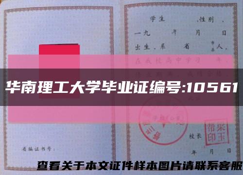 华南理工大学毕业证编号:10561缩略图