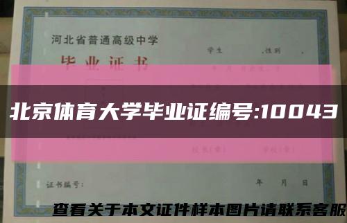 北京体育大学毕业证编号:10043缩略图