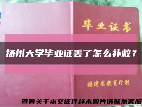 扬州大学毕业证丢了怎么补救？缩略图