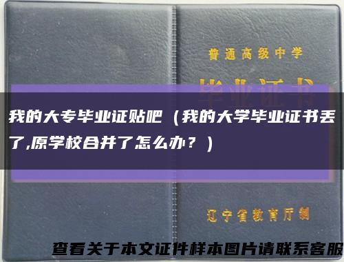 我的大专毕业证贴吧（我的大学毕业证书丢了,原学校合并了怎么办？）缩略图