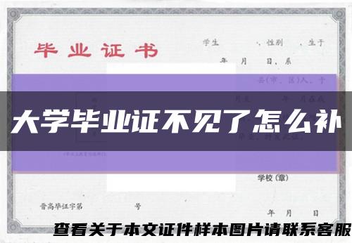 大学毕业证不见了怎么补缩略图