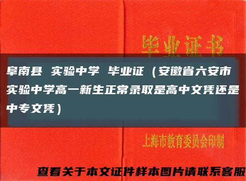 阜南县 实验中学 毕业证（安徽省六安市实验中学高一新生正常录取是高中文凭还是中专文凭）缩略图