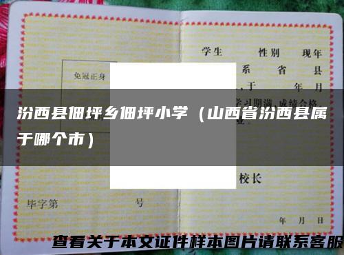 汾西县佃坪乡佃坪小学（山西省汾西县属于哪个市）缩略图
