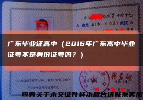 广东毕业证高中（2016年广东高中毕业证号不是身份证号吗？）缩略图