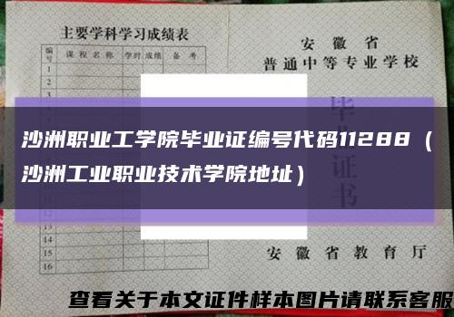 沙洲职业工学院毕业证编号代码11288（沙洲工业职业技术学院地址）缩略图