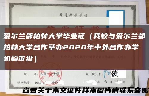 爱尔兰都柏林大学毕业证（我校与爱尔兰都柏林大学合作举办2020年中外合作办学机构审批）缩略图
