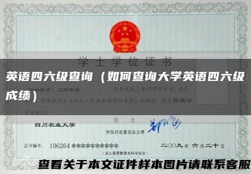 英语四六级查询（如何查询大学英语四六级成绩）缩略图