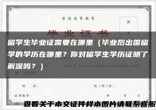 留学生毕业证需要在哪里（毕业后出国留学的学历在哪里？你对留学生学历证明了解深吗？）缩略图