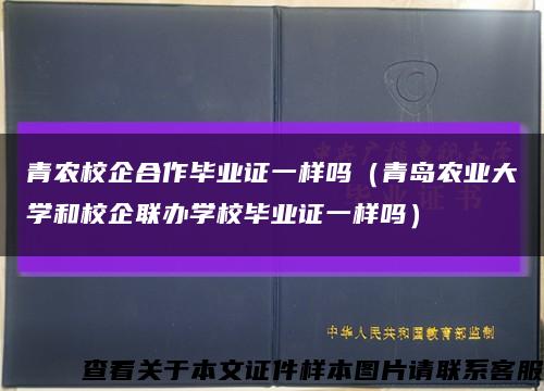 青农校企合作毕业证一样吗（青岛农业大学和校企联办学校毕业证一样吗）缩略图