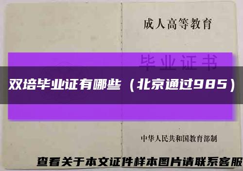 双培毕业证有哪些（北京通过985）缩略图