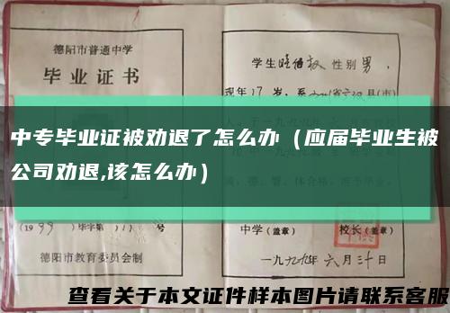 中专毕业证被劝退了怎么办（应届毕业生被公司劝退,该怎么办）缩略图