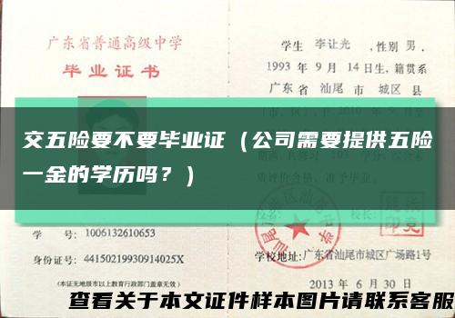 交五险要不要毕业证（公司需要提供五险一金的学历吗？）缩略图