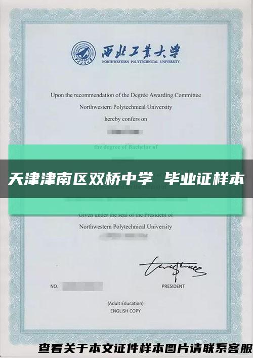 天津津南区双桥中学 毕业证样本缩略图