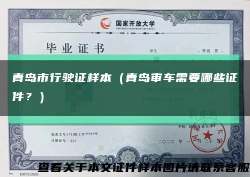 青岛市行驶证样本（青岛审车需要哪些证件？）缩略图