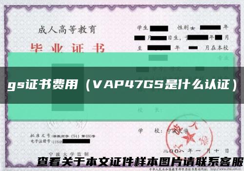 gs证书费用（VAP47GS是什么认证）缩略图