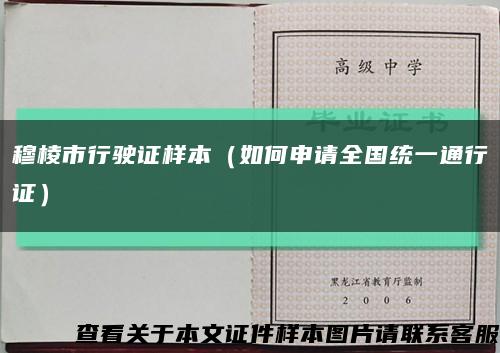穆棱市行驶证样本（如何申请全国统一通行证）缩略图
