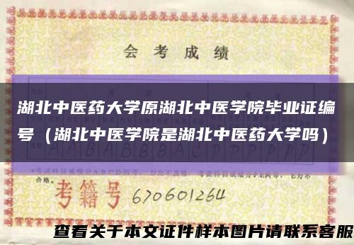 湖北中医药大学原湖北中医学院毕业证编号（湖北中医学院是湖北中医药大学吗）缩略图
