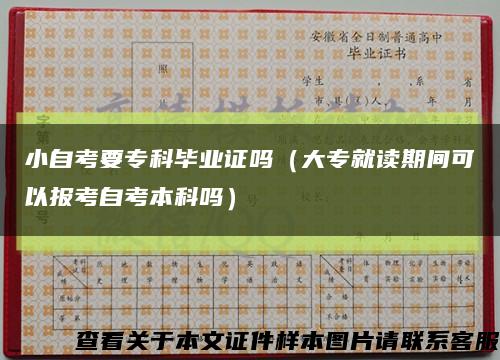 小自考要专科毕业证吗（大专就读期间可以报考自考本科吗）缩略图