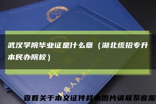 武汉学院毕业证是什么章（湖北统招专升本民办院校）缩略图