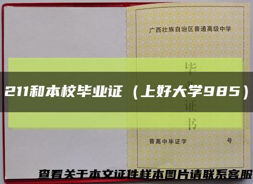 211和本校毕业证（上好大学985）缩略图