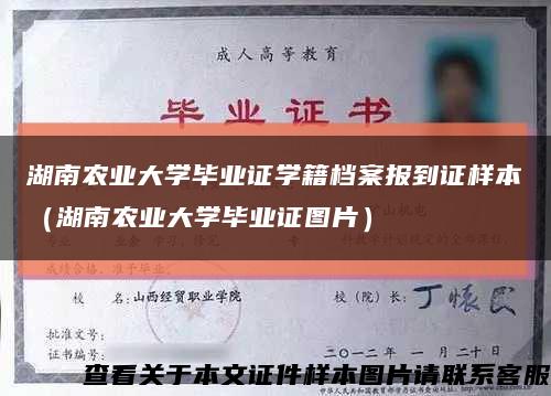 湖南农业大学毕业证学籍档案报到证样本（湖南农业大学毕业证图片）缩略图