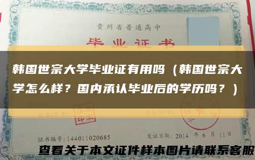 韩国世宗大学毕业证有用吗（韩国世宗大学怎么样？国内承认毕业后的学历吗？）缩略图