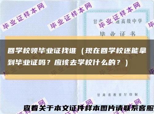 回学校领毕业证找谁（现在回学校还能拿到毕业证吗？应该去学校什么的？）缩略图