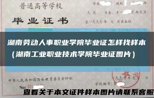 湖南劳动人事职业学院毕业证怎样找样本（湖南工业职业技术学院毕业证图片）缩略图