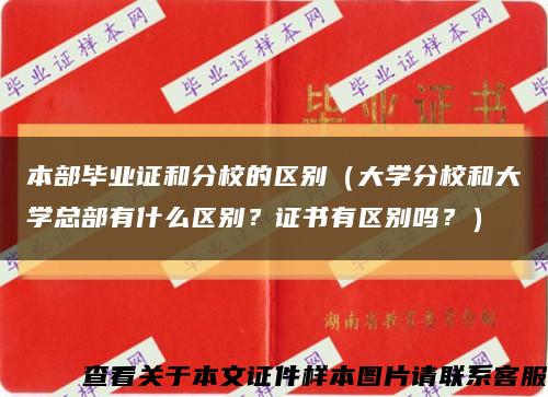 本部毕业证和分校的区别（大学分校和大学总部有什么区别？证书有区别吗？）缩略图