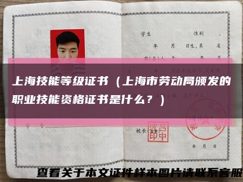 上海技能等级证书（上海市劳动局颁发的职业技能资格证书是什么？）缩略图