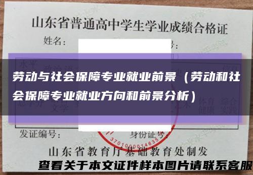 劳动与社会保障专业就业前景（劳动和社会保障专业就业方向和前景分析）缩略图