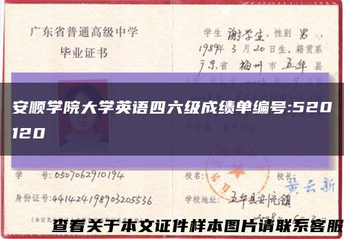 安顺学院大学英语四六级成绩单编号:520120缩略图