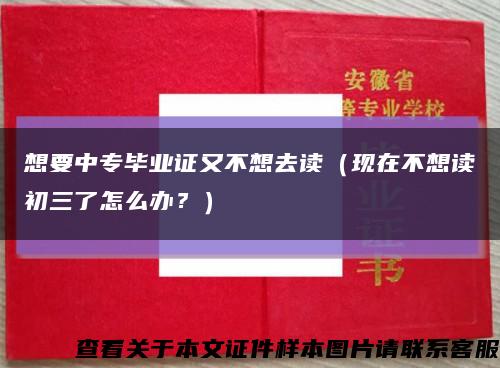想要中专毕业证又不想去读（现在不想读初三了怎么办？）缩略图
