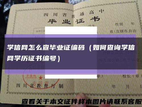 学信网怎么查毕业证编码（如何查询学信网学历证书编号）缩略图