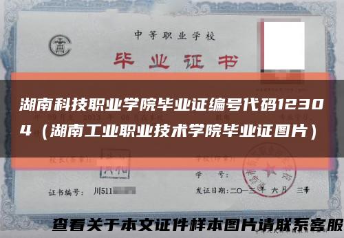 湖南科技职业学院毕业证编号代码12304（湖南工业职业技术学院毕业证图片）缩略图