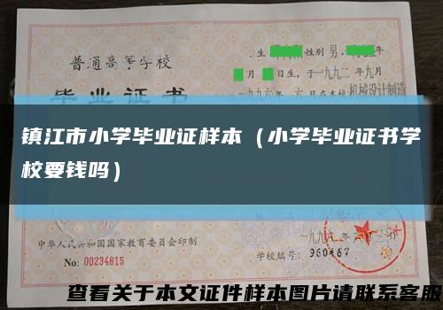 镇江市小学毕业证样本（小学毕业证书学校要钱吗）缩略图