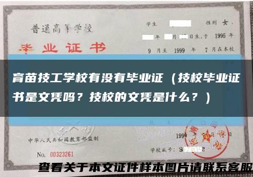 育苗技工学校有没有毕业证（技校毕业证书是文凭吗？技校的文凭是什么？）缩略图