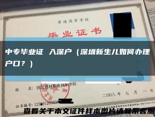 中专毕业证 入深户（深圳新生儿如何办理户口？）缩略图