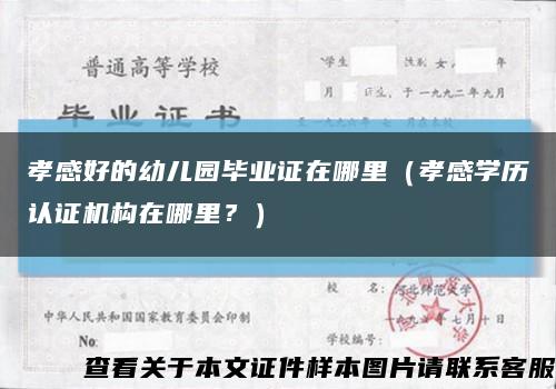 孝感好的幼儿园毕业证在哪里（孝感学历认证机构在哪里？）缩略图