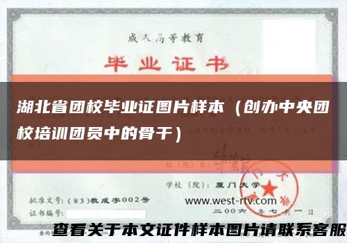 湖北省团校毕业证图片样本（创办中央团校培训团员中的骨干）缩略图