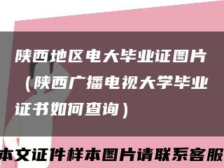 陕西地区电大毕业证图片（陕西广播电视大学毕业证书如何查询）缩略图