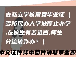 去私立学校需要毕业证（多所民办大学被停止办学,在校生有苦难言,师生分流该咋办？）缩略图