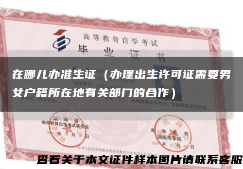 在哪儿办准生证（办理出生许可证需要男女户籍所在地有关部门的合作）缩略图