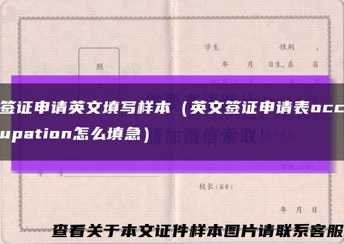 签证申请英文填写样本（英文签证申请表occupation怎么填急）缩略图