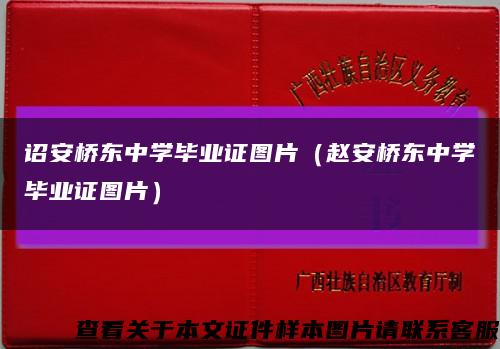 诏安桥东中学毕业证图片（赵安桥东中学毕业证图片）缩略图