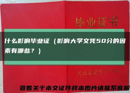 什么影响毕业证（影响大学文凭50分的因素有哪些？）缩略图