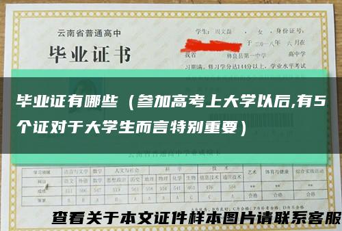 毕业证有哪些（参加高考上大学以后,有5个证对于大学生而言特别重要）缩略图
