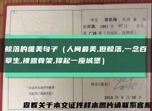 鲸落的唯美句子（人间最美,但鲸落,一念百草生,裸露骨架,撑起一座城堡）缩略图