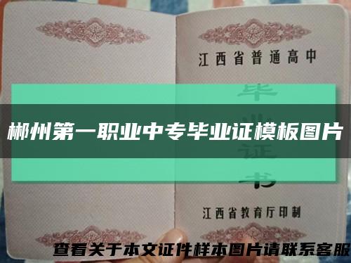 郴州第一职业中专毕业证模板图片缩略图